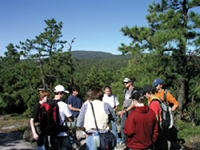 Outdoor Adventure Education Programs for School Groups