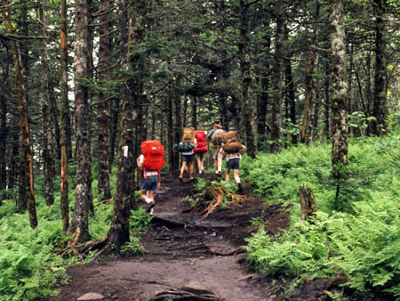 smokies_honor_4_day